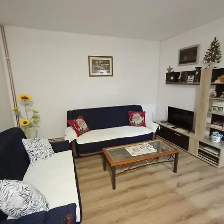 Daire Jovicic Višegrad